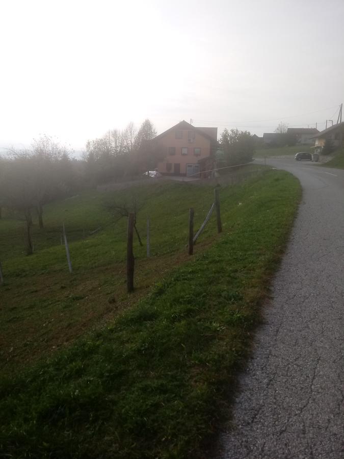 Bed&Breakfast Zilje Vinica Eksteriør bilde